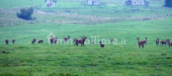 2 bedrooms Apartment in Alpago, Italy No. 250888 8