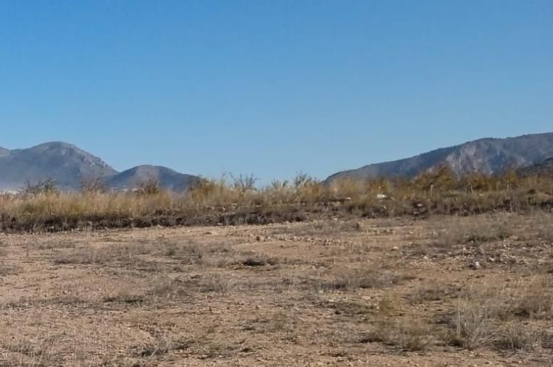  قطعة أرض في La Romana, Spain 5632متر مربع رقم 67104