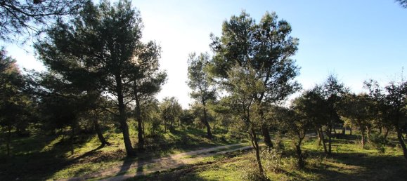 Terreno em Tempio Pausania, Italy 30000 m² N.º 83207 14