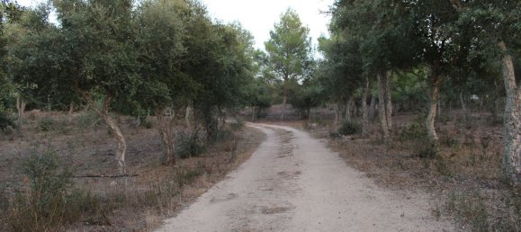 Terreno em Tempio Pausania, Italy 30000 m² N.º 83207 3