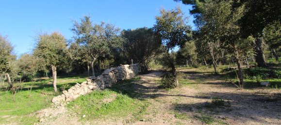 Terreno em Tempio Pausania, Italy 30000 m² N.º 83207 2