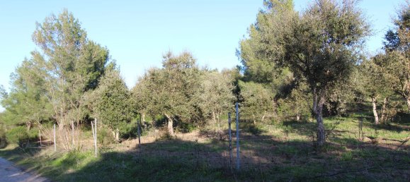 Terreno em Tempio Pausania, Italy 30000 m² N.º 83207 18