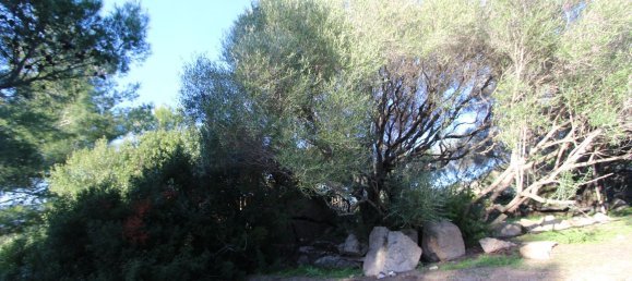 Terreno em Tempio Pausania, Italy 30000 m² N.º 83207 25