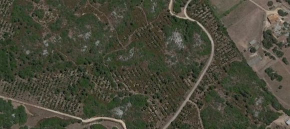 Terreno em Tempio Pausania, Italy 30000 m² N.º 83207 12