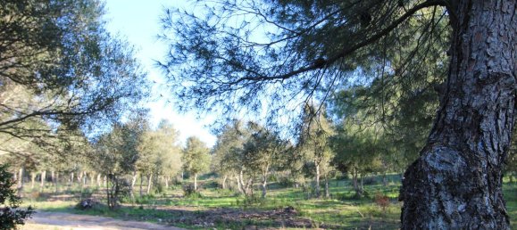 Terreno em Tempio Pausania, Italy 30000 m² N.º 83207 16