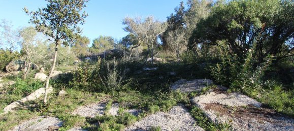 Terreno em Tempio Pausania, Italy 30000 m² N.º 83207 6