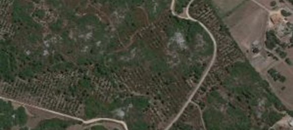 Terreno em Tempio Pausania, Italy 30000 m² N.º 83207 26