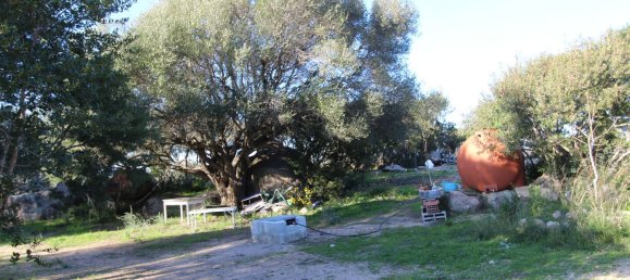 Terreno em Tempio Pausania, Italy 30000 m² N.º 83207 9