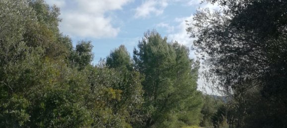 Terreno em Tempio Pausania, Italy 30000 m² N.º 83207 19