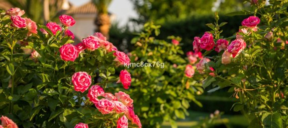 7 Schlafzimmer Villa in Marbella, Spain, Nr. 141852 35