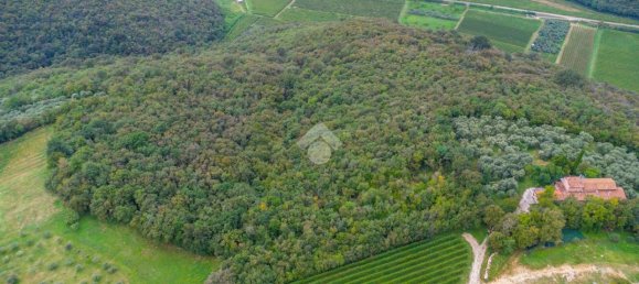 20غرفة فيلا في Verona, Italy رقم 142083 13