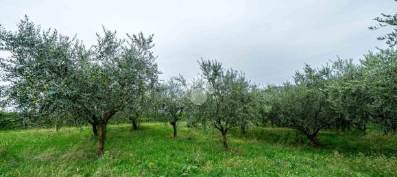 20غرفة فيلا في Verona, Italy رقم 142083 10