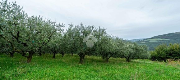 20غرفة فيلا في Verona, Italy رقم 142083 11