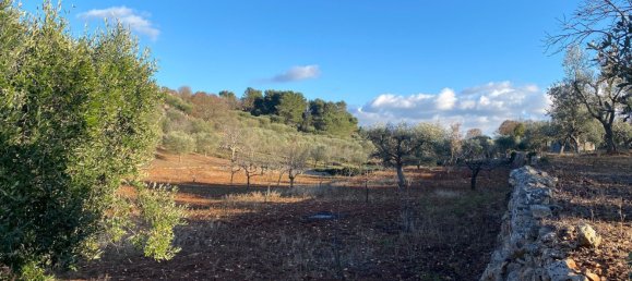 8-salle Villa à Monopoli, Italy No. 75685 10