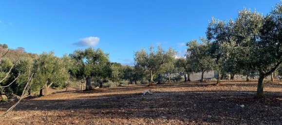 8-salle Villa à Monopoli, Italy No. 75685 14