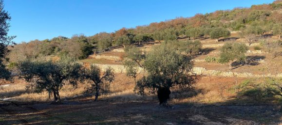 8-salle Villa à Monopoli, Italy No. 75685 9