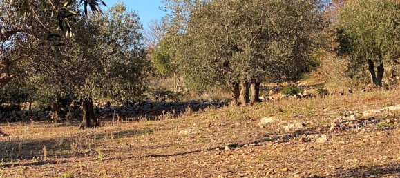 8-salle Villa à Monopoli, Italy No. 75685 26