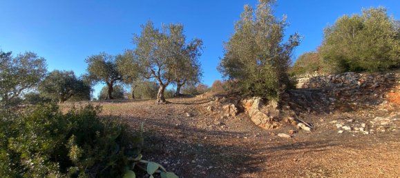 8-salle Villa à Monopoli, Italy No. 75685 23