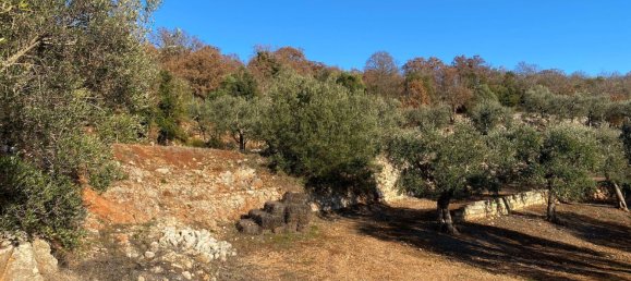 8-salle Villa à Monopoli, Italy No. 75685 29