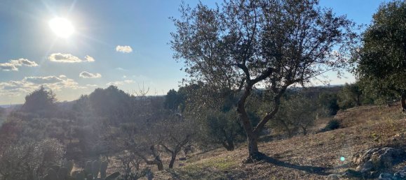 8-salle Villa à Monopoli, Italy No. 75685 28