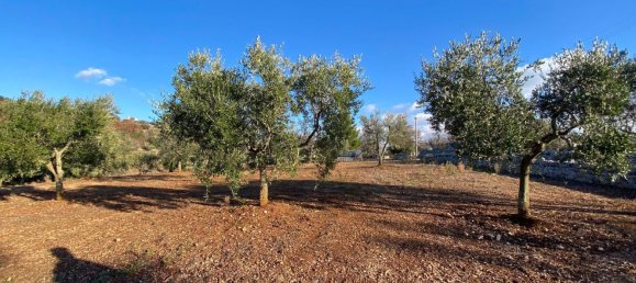 8-salle Villa à Monopoli, Italy No. 75685 13