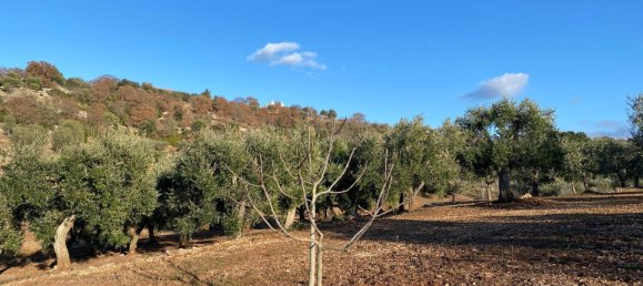 8-salle Villa à Monopoli, Italy No. 75685 5