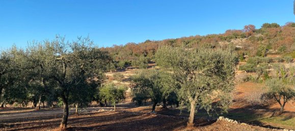 8-salle Villa à Monopoli, Italy No. 75685 30