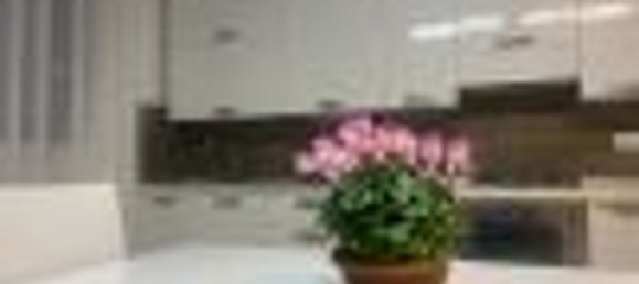 2 rooms Apartment in Venice, Italy No. 108647 4