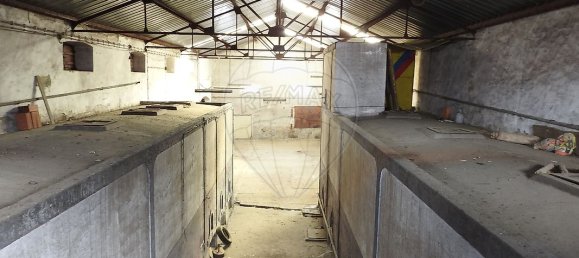 21 Schlafzimmer Haus in Portalegre, Portugal, Nr. 18259 34