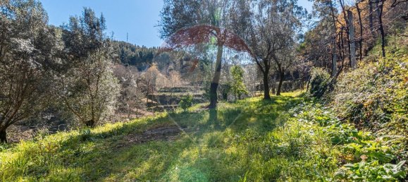 3 غرف نوم منزل في Vila Verde, Portugal رقم 173095 25