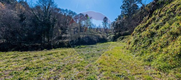 3 غرف نوم منزل في Vila Verde, Portugal رقم 173095 26