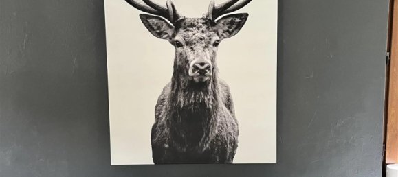 Casa de 3 dormitorios en Obersteinbach, France No. 361832 9