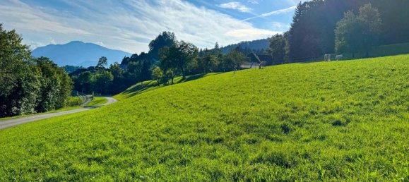 Land in Scharnstein, Austria No. 136679 6