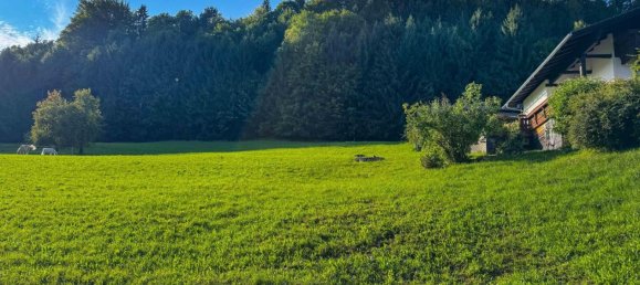 Land in Scharnstein, Austria No. 136679 7