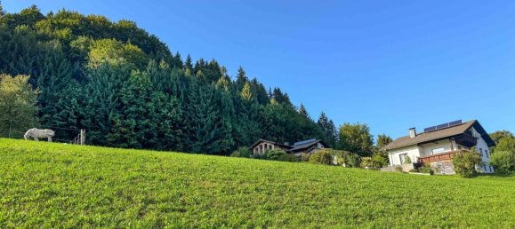 Land in Scharnstein, Austria No. 136679 2