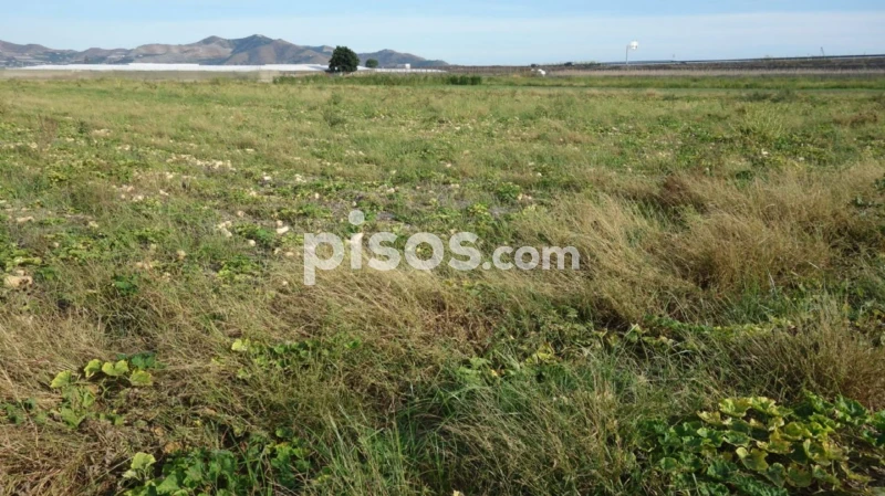 Terreno em Granada, Spain N.º 182984