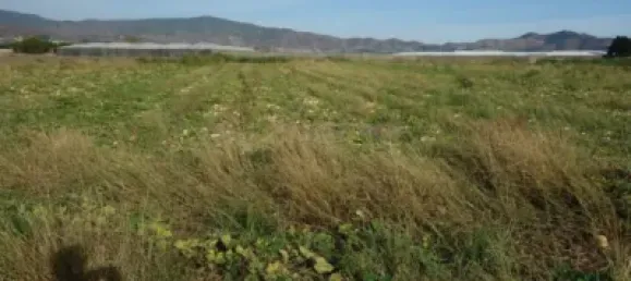 Terreno em Granada, Spain N.º 182984 3