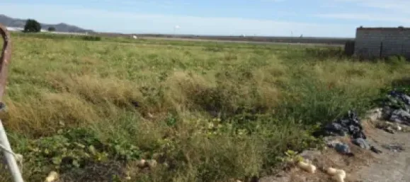 Terreno em Granada, Spain N.º 182984 2