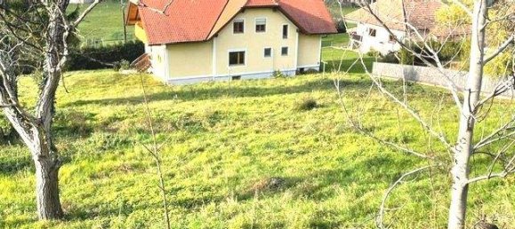 8 rooms House in Andritz, Austria No. 100454 11