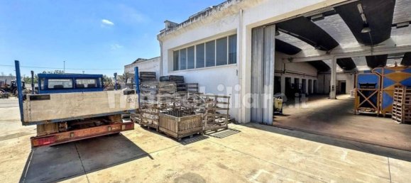 Lagerhaus in Nardò, Italy 5982m², Nr. 337092 4