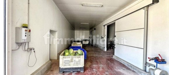 Lagerhaus in Nardò, Italy 5982m², Nr. 337092 27