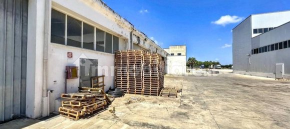 Lagerhaus in Nardò, Italy 5982m², Nr. 337092 3