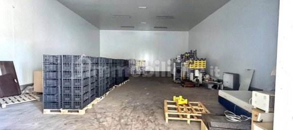 Lagerhaus in Nardò, Italy 5982m², Nr. 337092 26