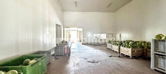 Lagerhaus in Nardò, Italy 5982m², Nr. 337092 23