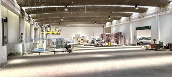 Lagerhaus in Nardò, Italy 5982m², Nr. 337092 22