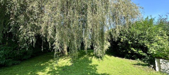 4-Zimmer Bungalow in Wels, Austria, Nr. 130867 48