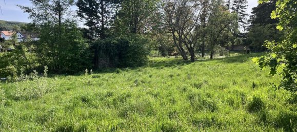 Terrain à Gablitz, Austria 742m² No. 82124 3