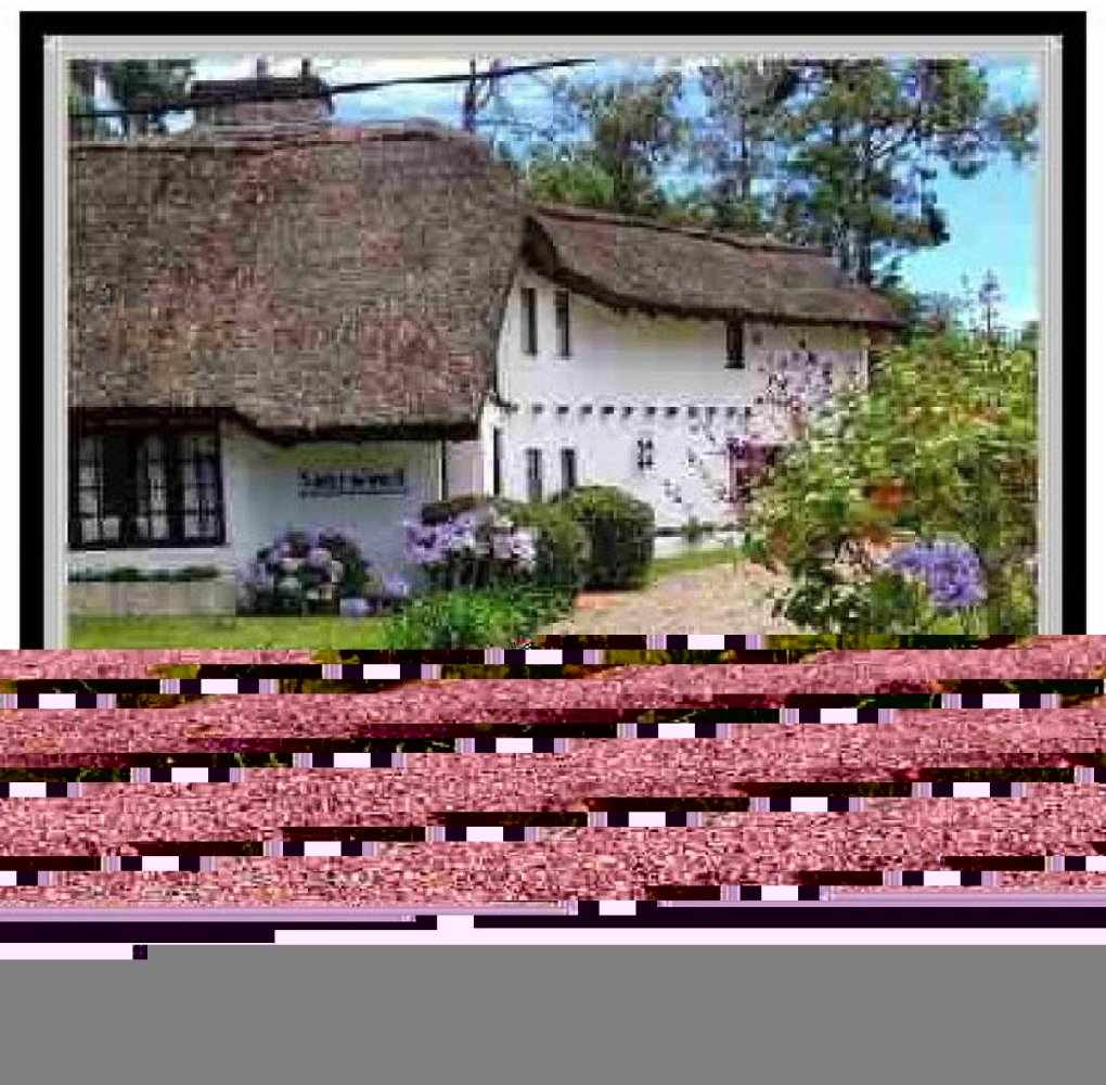 4 bedrooms House in Maldonado, Uruguay No. 8492