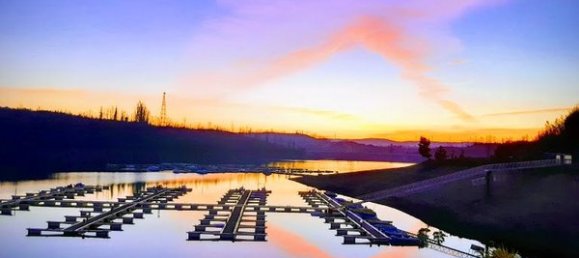 Terreno em Mortágua, Portugal 643 m² N.º 49277 7