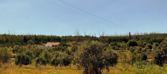 Terreno em Mortágua, Portugal 643 m² N.º 49277 8